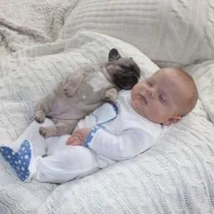 Meet your Posher, Meiling